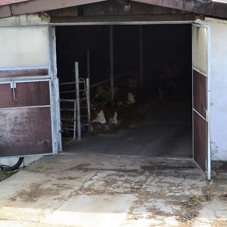An Der Kapf Leilighet Münsingen Eksteriør bilde